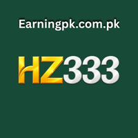 hz333 game
