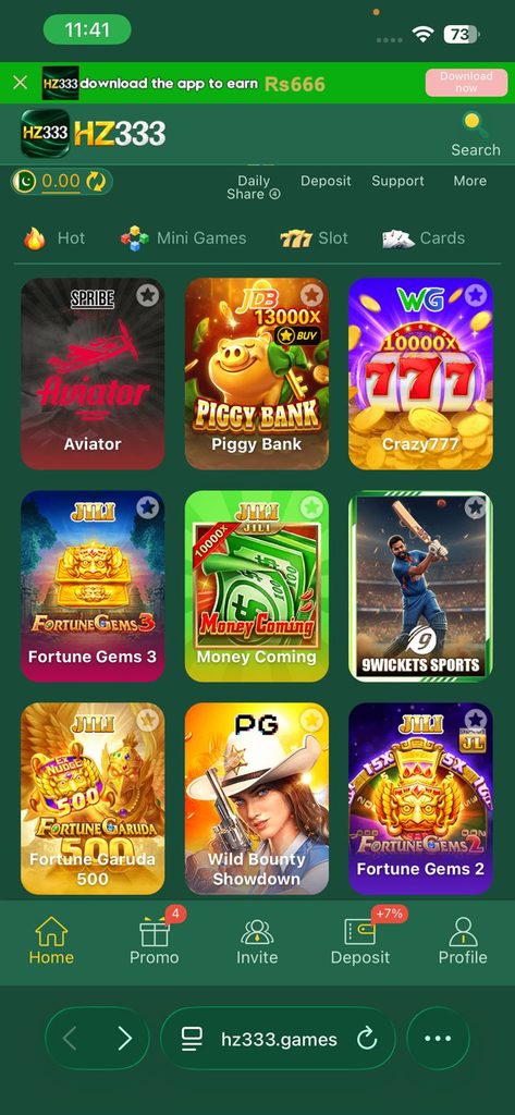 hz333 game